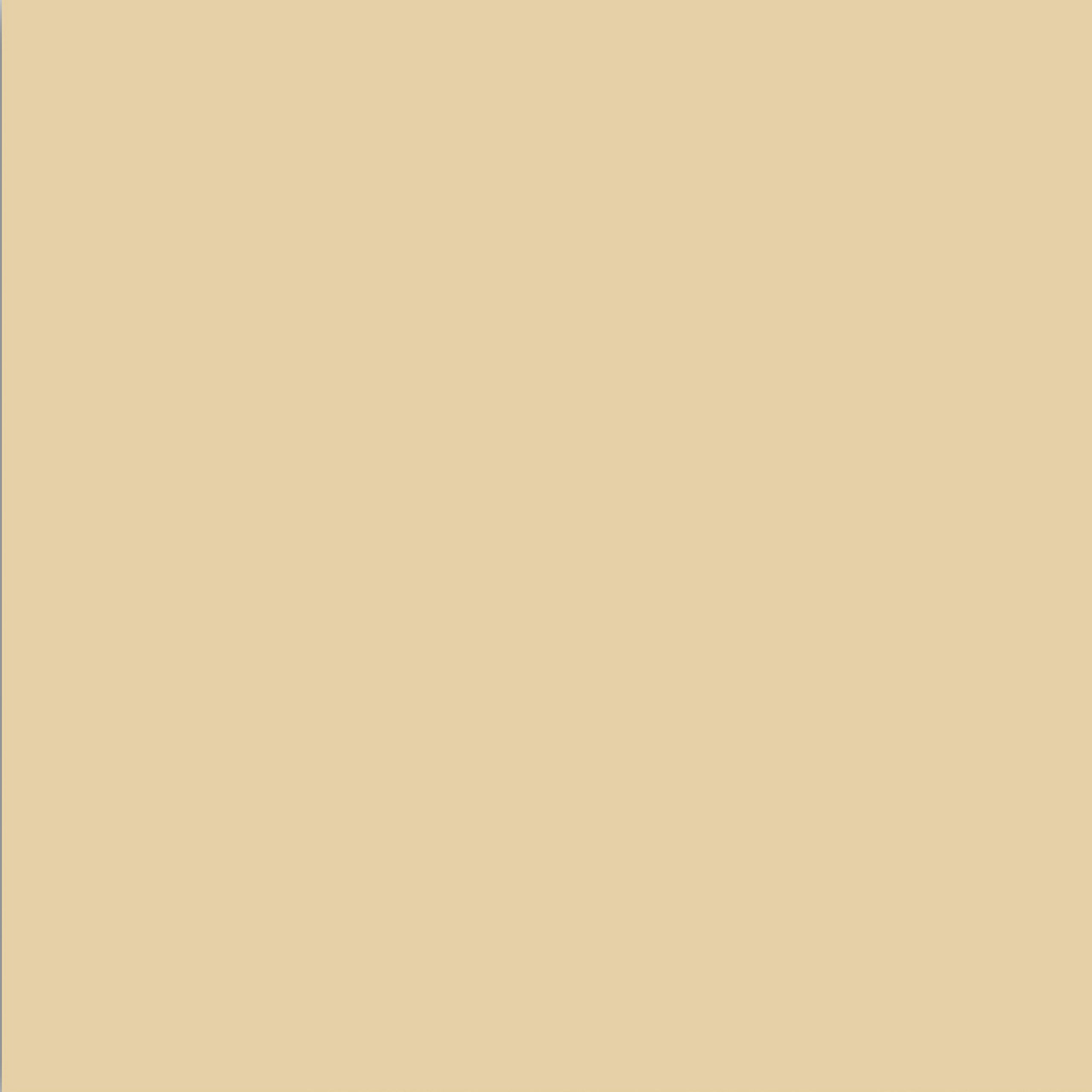 DuraGrade® Concrete - Beige - Image 2