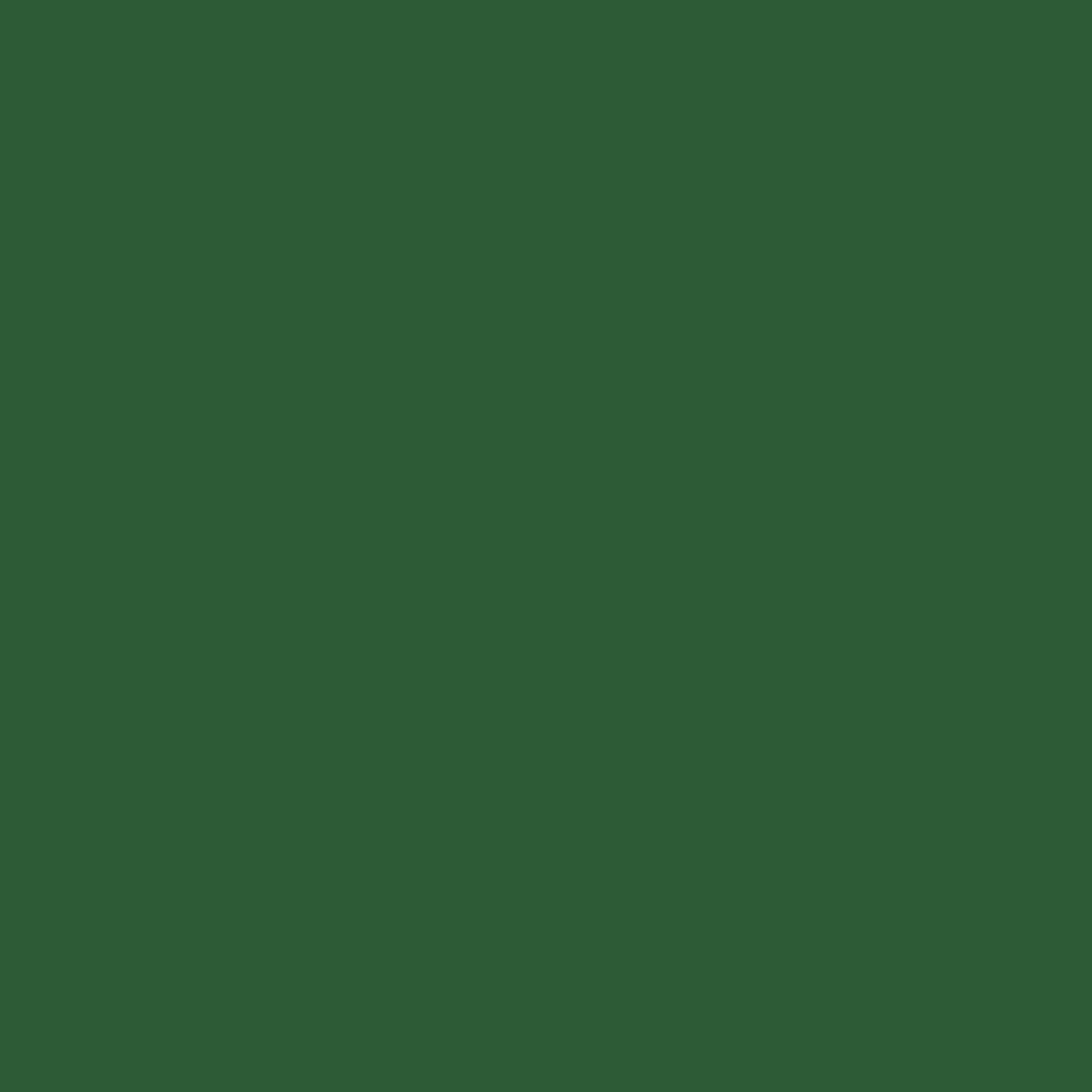 DuraGrade® Color - Green - Image 2