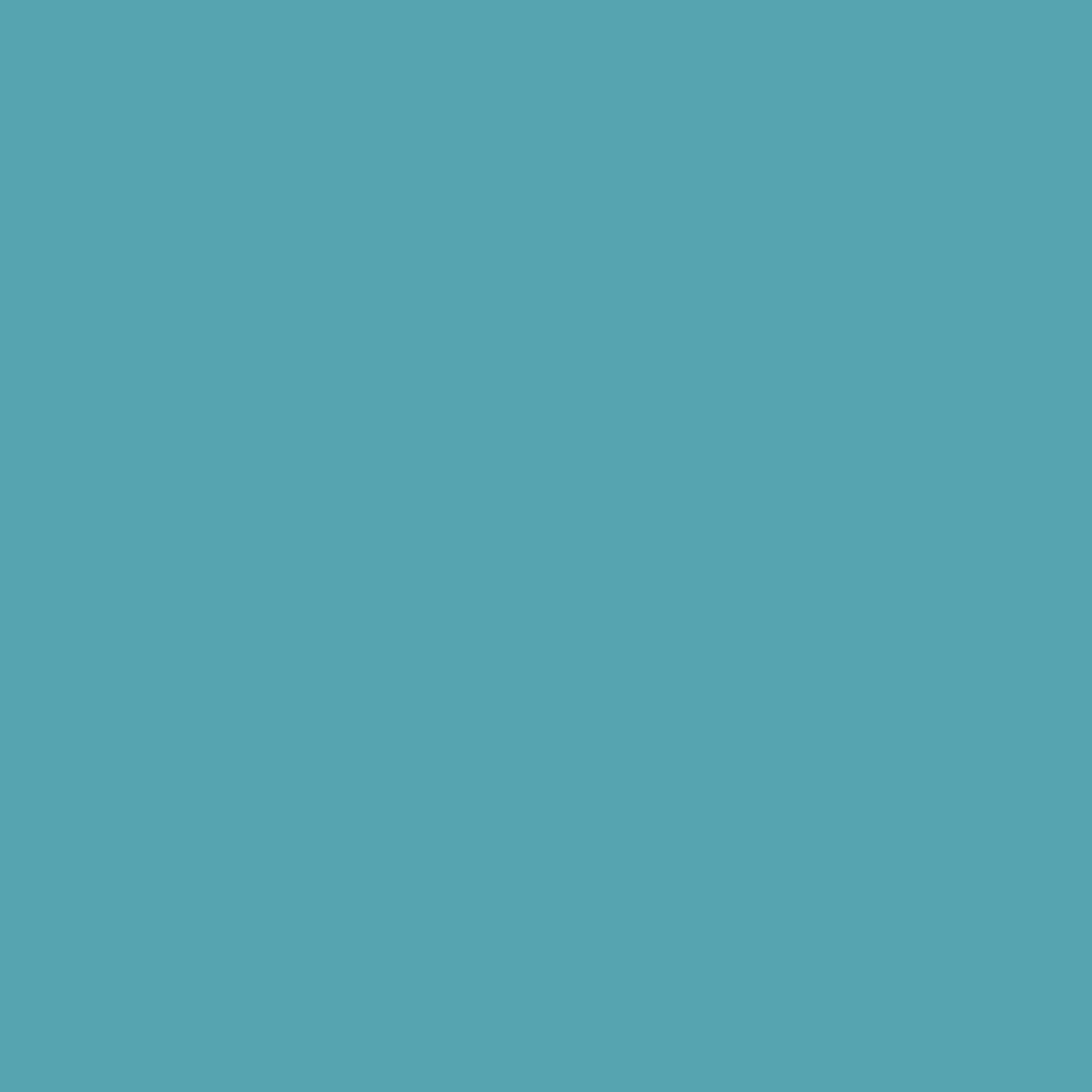 DuraGrade® Concrete - Turquoise - Image 2